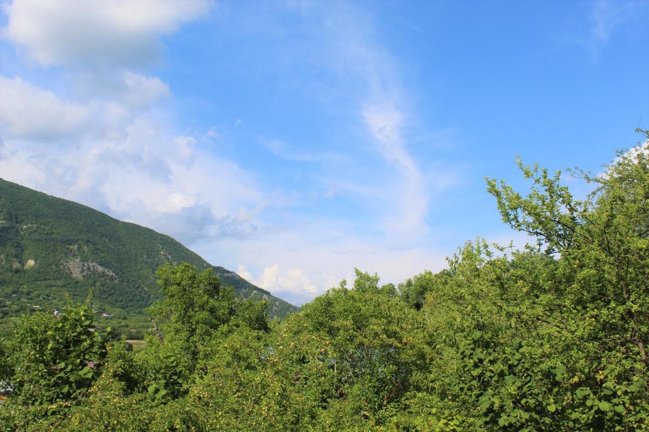 Guest House Racha Ambrolauri Εξωτερικό φωτογραφία